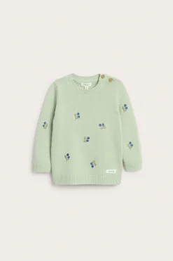 Baby green knitted jumper with blueberries