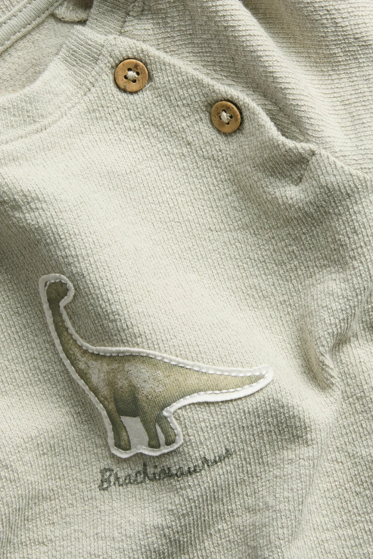 Baby green long sleeve dinosaur top