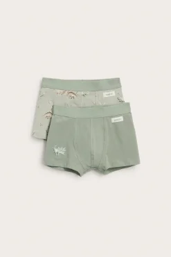 Baby & Kids dinosaur underwear (2-pack)