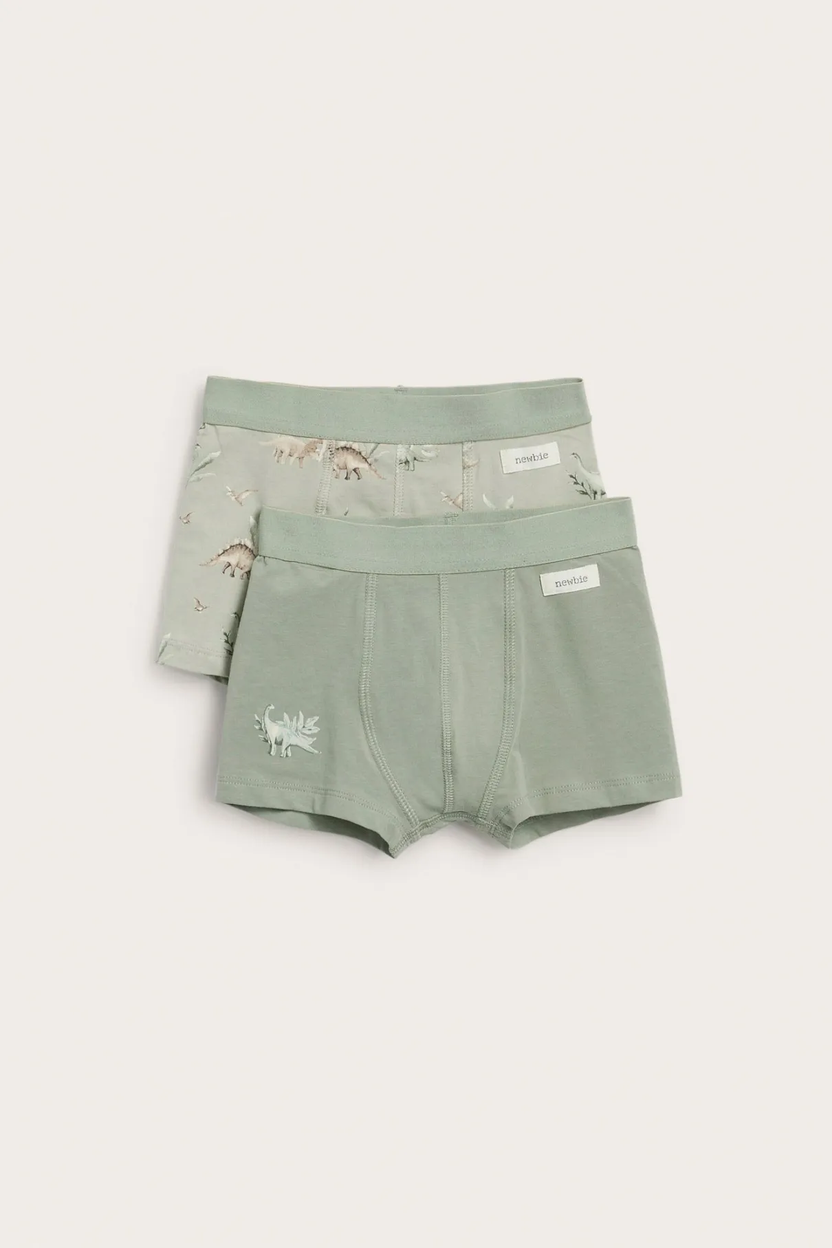 Baby & Kids dinosaur underwear (2-pack)