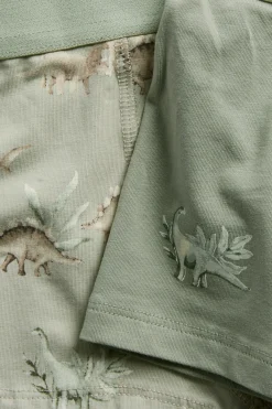 Baby & Kids dinosaur underwear (2-pack)