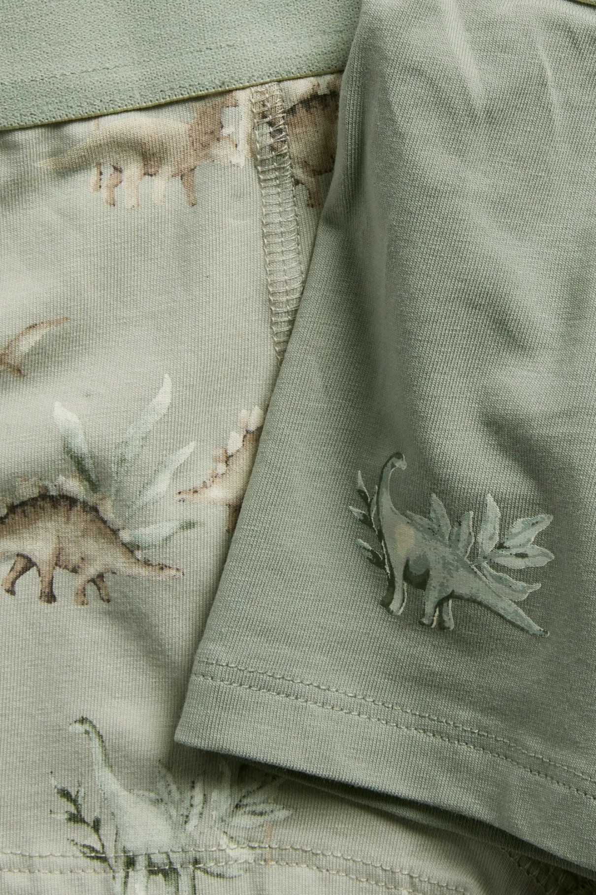 Baby & Kids dinosaur underwear (2-pack)