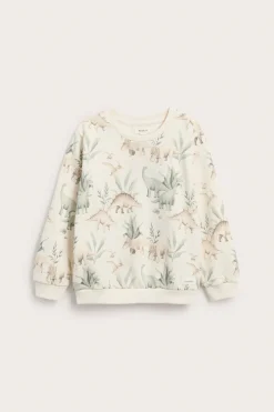 Baby & kids sweatshirt dinosaur print