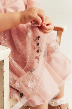 Baby pink mesh dress with ruffles