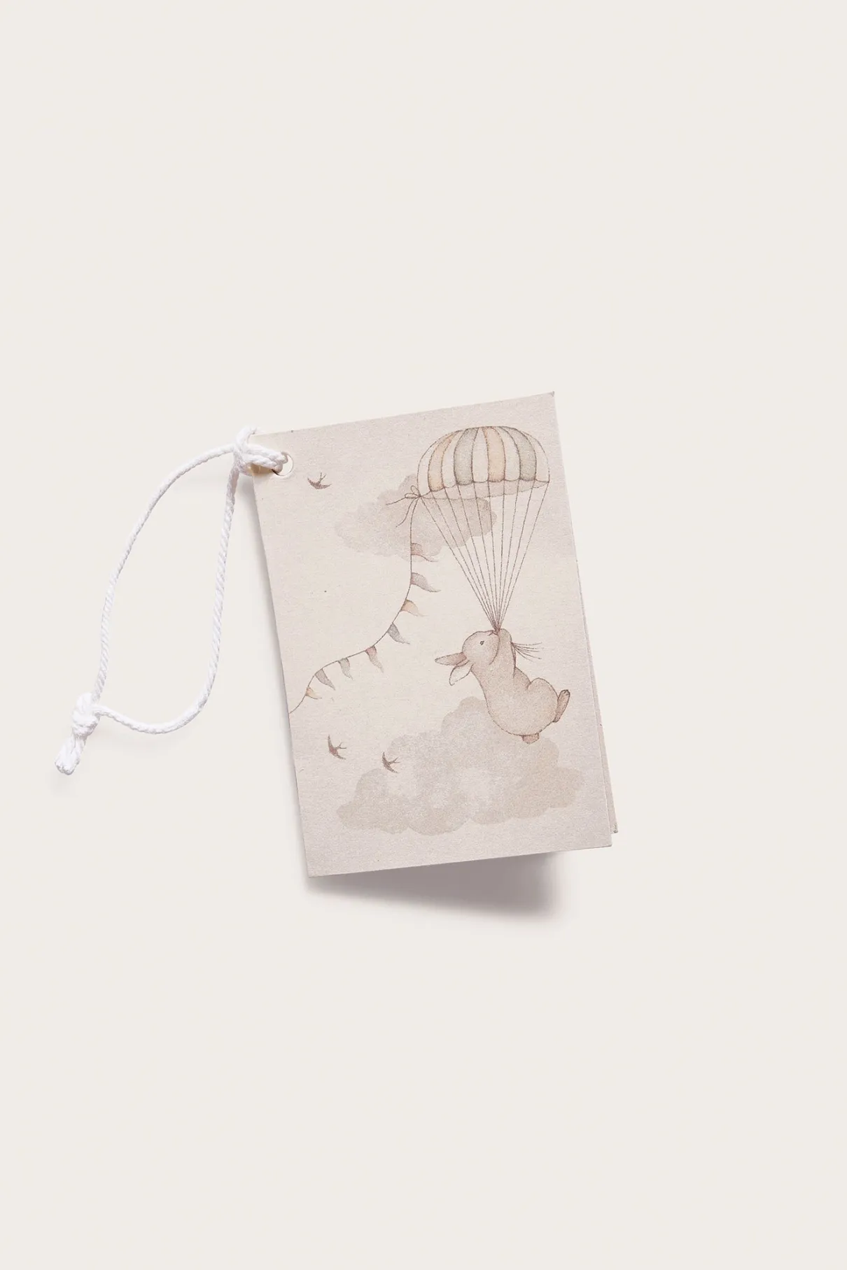 Gift card rabbit & hot air balloon