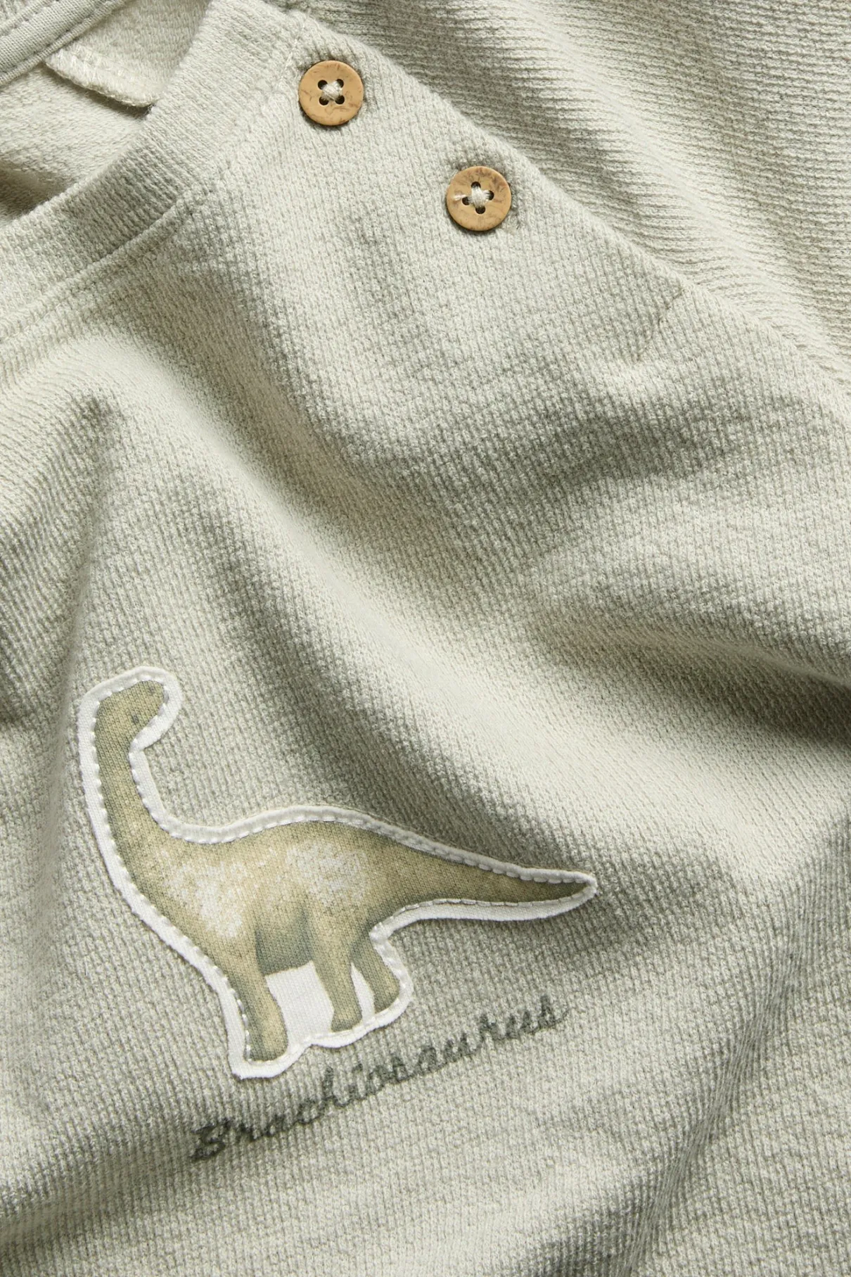 Kids green long sleeve dinosaur top