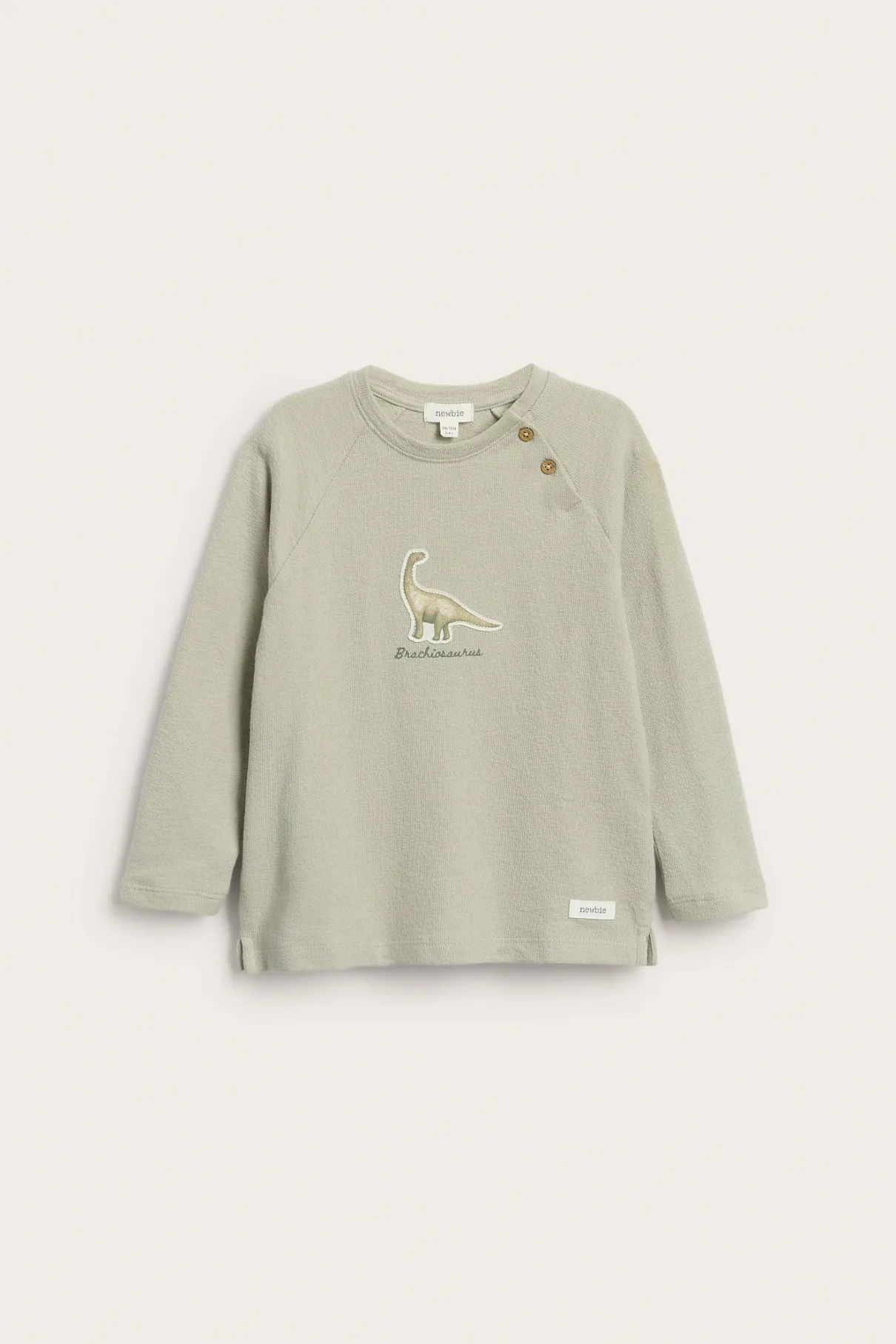 Kids green long sleeve dinosaur top