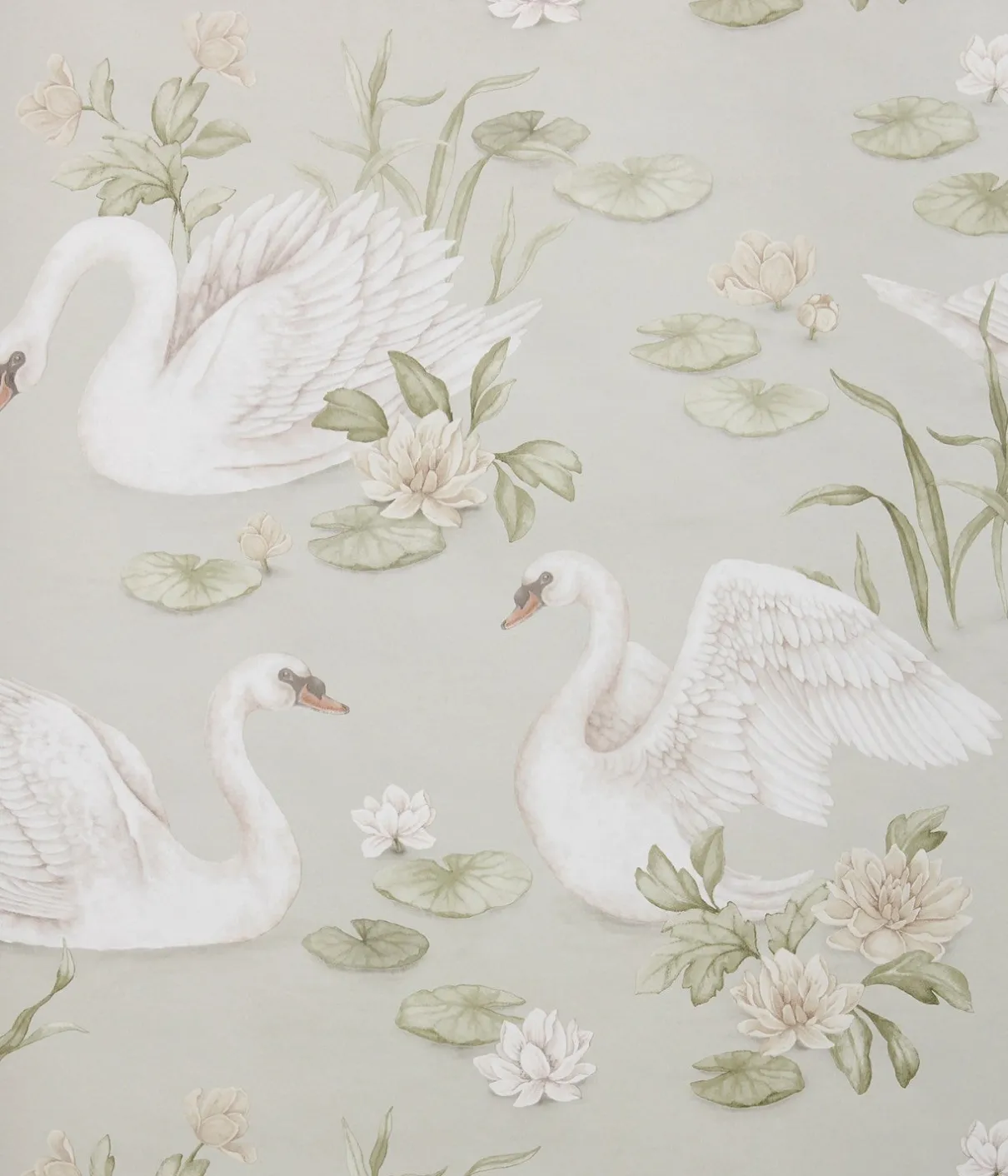 Lily swan green wallpaper